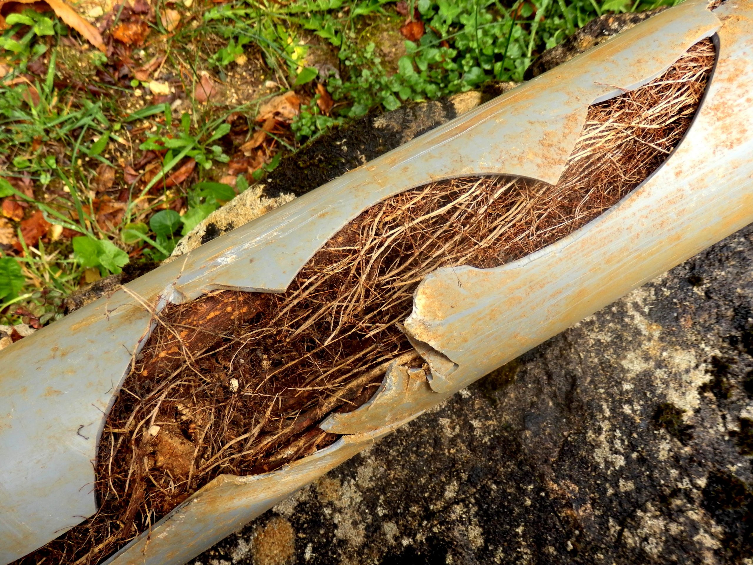 removing-roots-from-drain-pipes-i-bienvenu-brothers